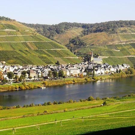 Weinstube Pension Moselbluemchen เซลทิงเงน-อาคทิก ภายนอก รูปภาพ