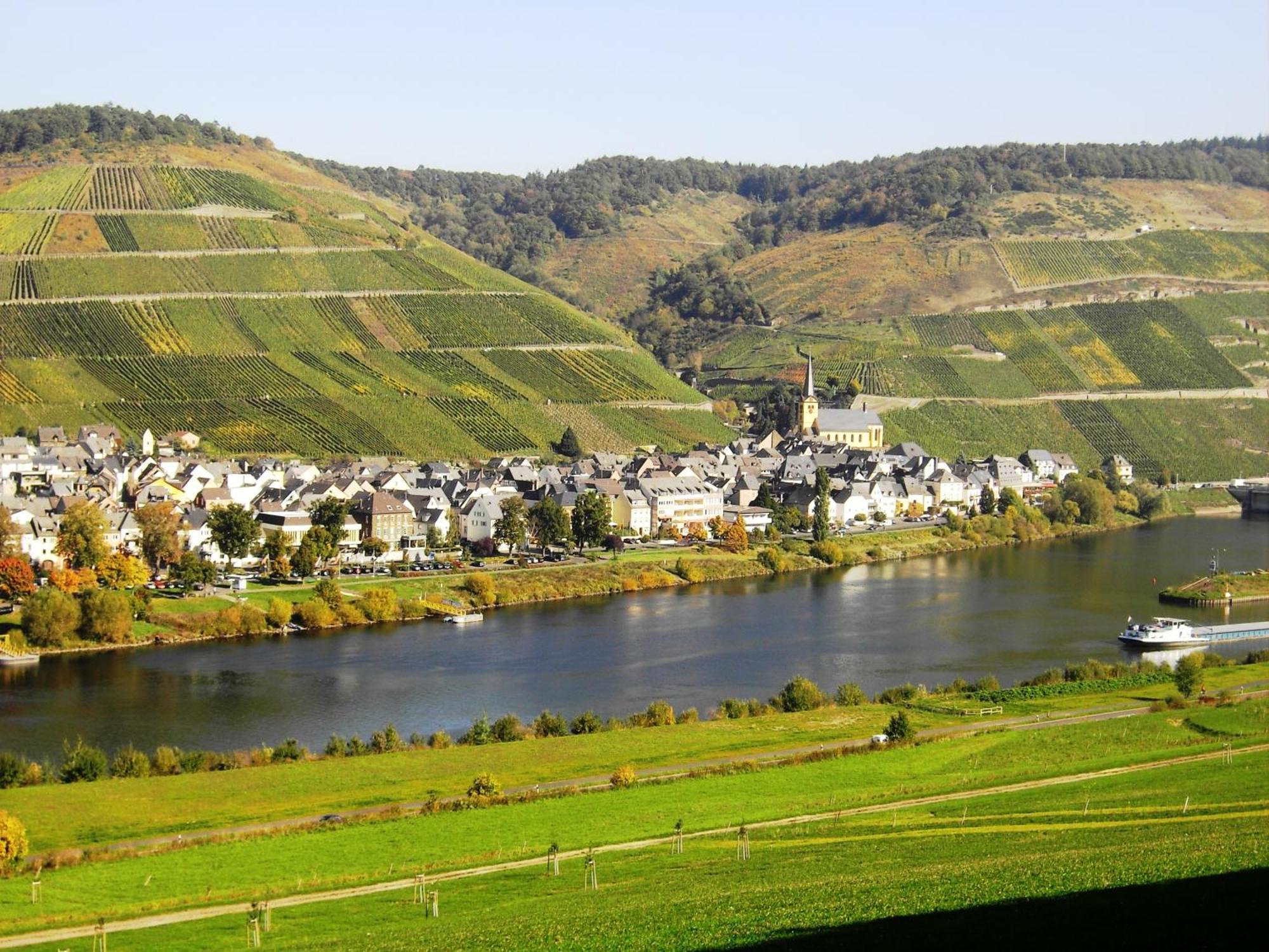 Weinstube Pension Moselbluemchen เซลทิงเงน-อาคทิก ภายนอก รูปภาพ