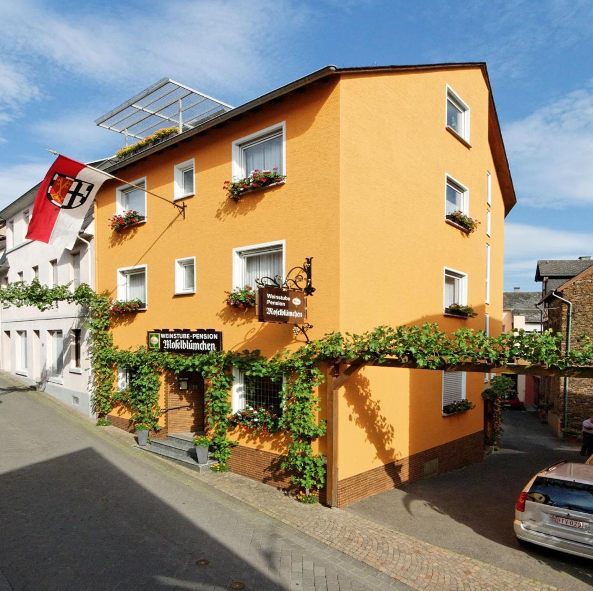 Weinstube Pension Moselbluemchen เซลทิงเงน-อาคทิก ภายนอก รูปภาพ