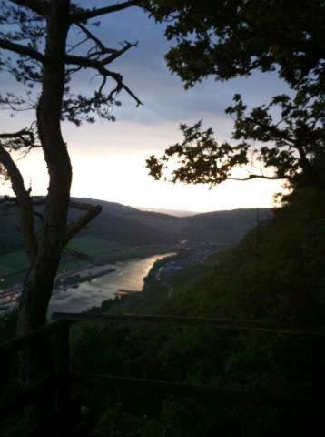 Weinstube Pension Moselbluemchen เซลทิงเงน-อาคทิก ภายนอก รูปภาพ
