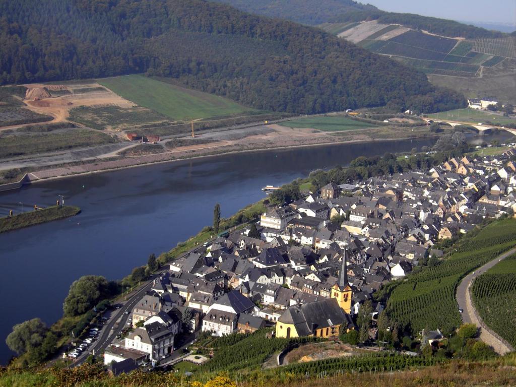 Weinstube Pension Moselbluemchen เซลทิงเงน-อาคทิก ภายนอก รูปภาพ