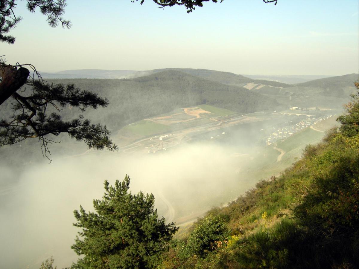Weinstube Pension Moselbluemchen เซลทิงเงน-อาคทิก ภายนอก รูปภาพ