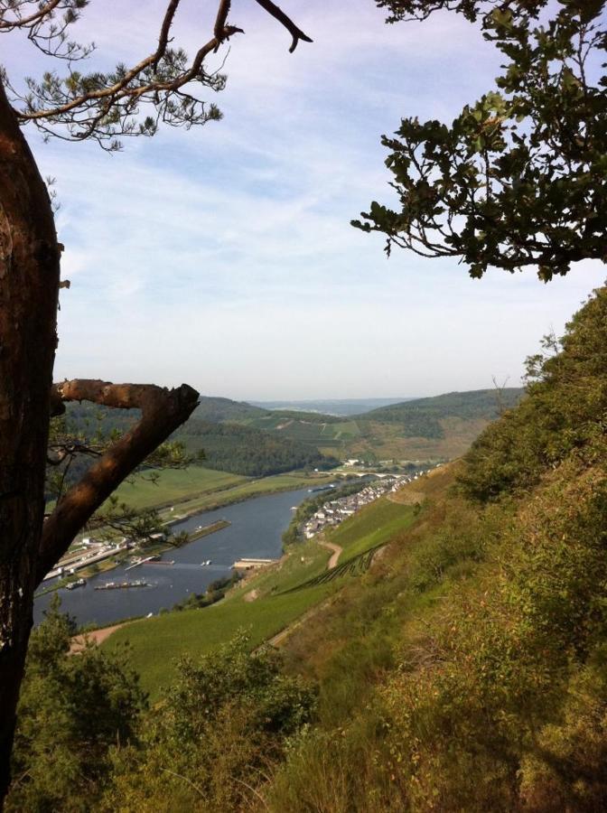 Weinstube Pension Moselbluemchen เซลทิงเงน-อาคทิก ภายนอก รูปภาพ