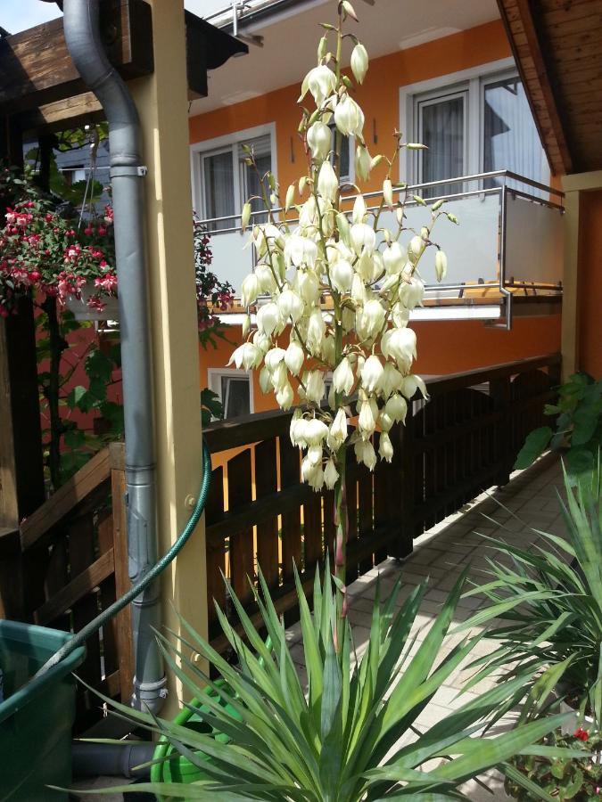 Weinstube Pension Moselbluemchen เซลทิงเงน-อาคทิก ภายนอก รูปภาพ